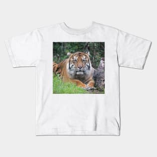 Waiting Patiently Kids T-Shirt